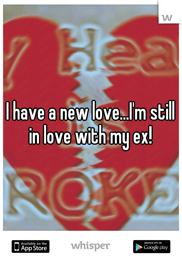 I have a new love...I'm still in love with my ex! 