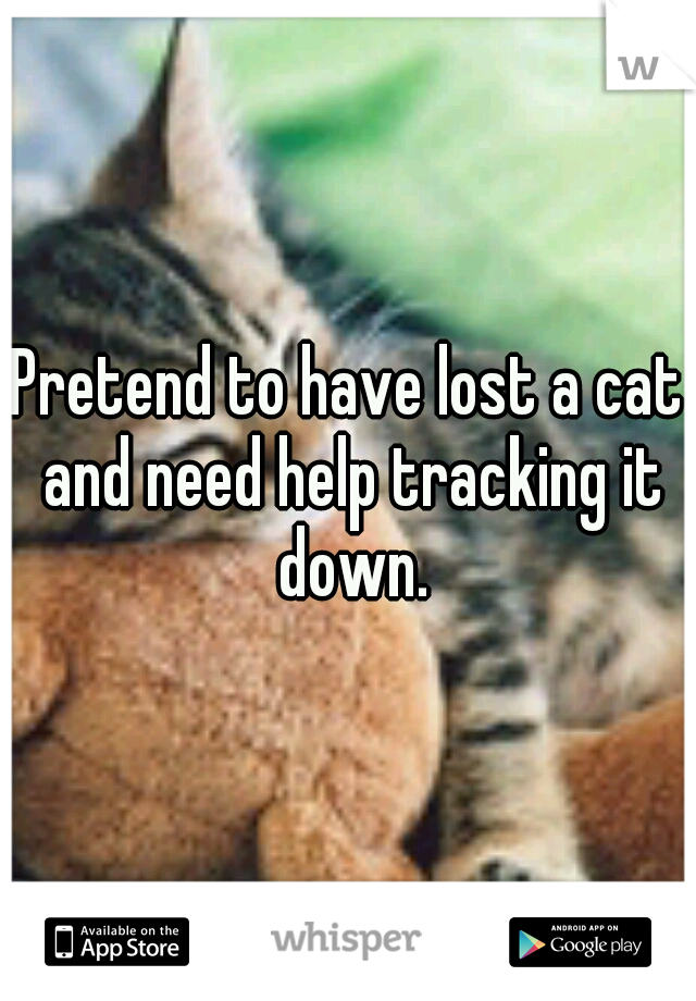 Pretend to have lost a cat and need help tracking it down.