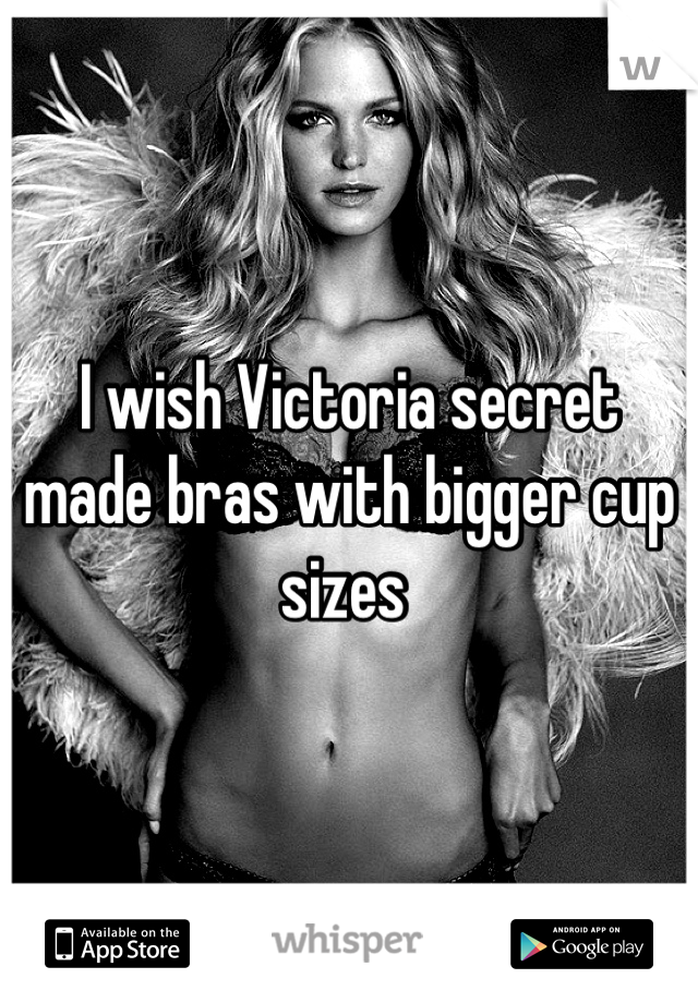 I wish Victoria secret made bras with bigger cup sizes 