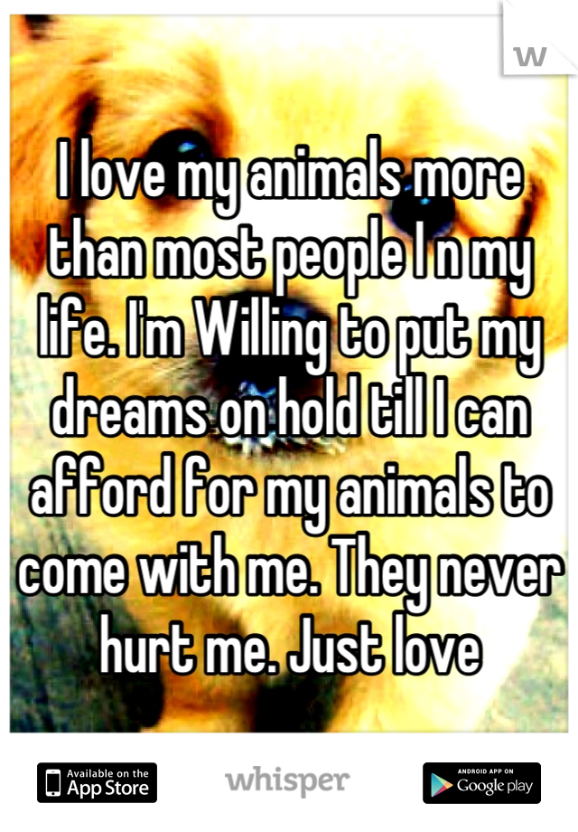I love my animals more than most people I n my life. I'm Willing to put my dreams on hold till I can afford for my animals to come with me. They never hurt me. Just love