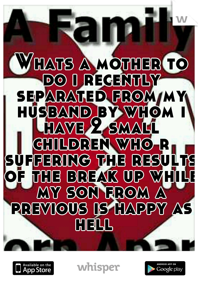  Whats a mother to do i recently separated from my husband by whom i have 2 small children who r suffering the results of the break up while my son from a previous is happy as hell 
