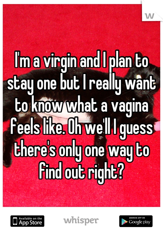 I'm a virgin and I plan to stay one but I really want to know what a vagina feels like. Oh we'll I guess there's only one way to find out right?