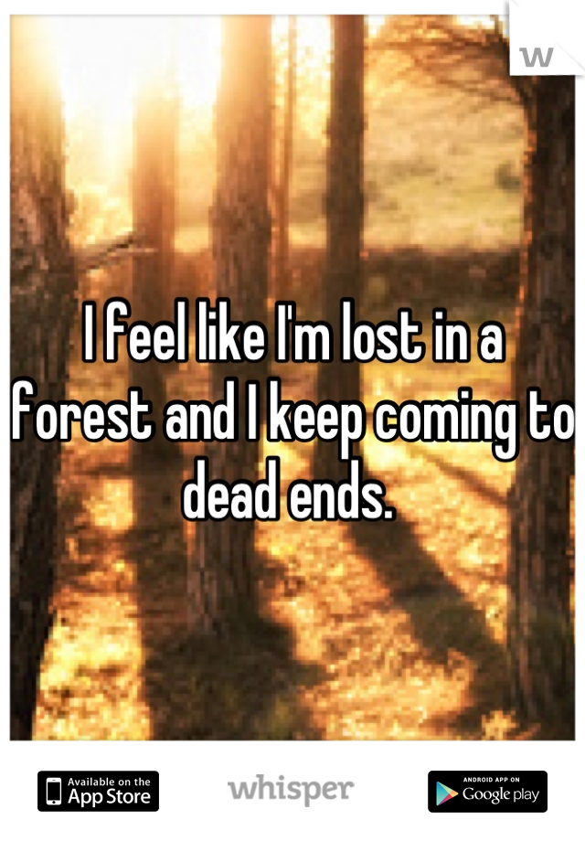 I feel like I'm lost in a forest and I keep coming to dead ends. 