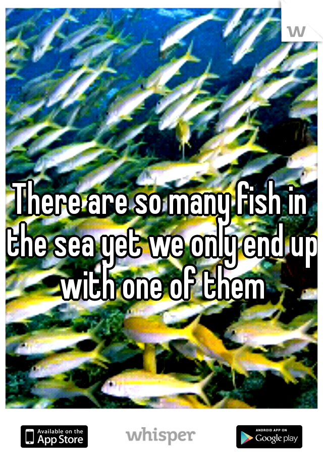 There are so many fish in the sea yet we only end up with one of them