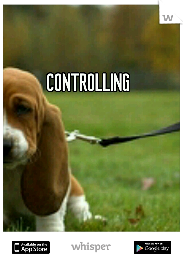 CONTROLLING
