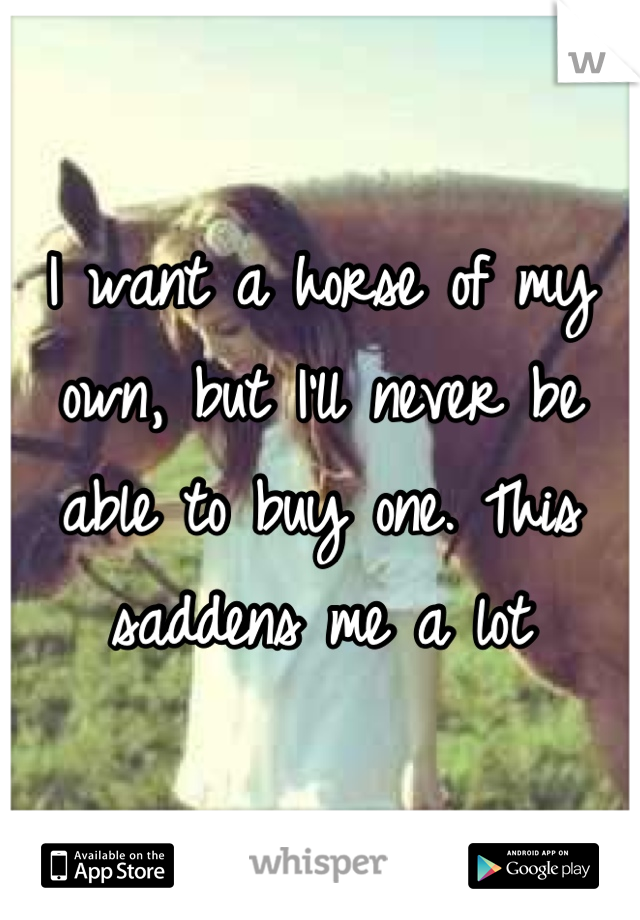 I want a horse of my own, but I'll never be  able to buy one. This saddens me a lot