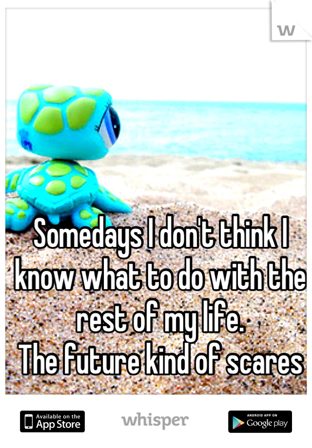 Somedays I don't think I know what to do with the rest of my life.
The future kind of scares me...