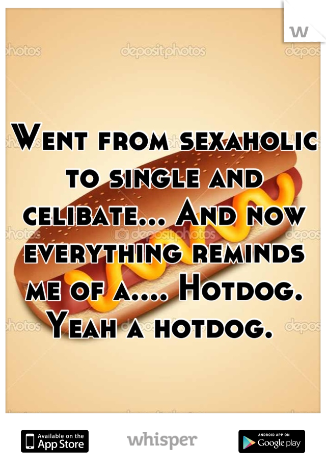 Went from sexaholic to single and celibate... And now everything reminds me of a.... Hotdog. Yeah a hotdog. 