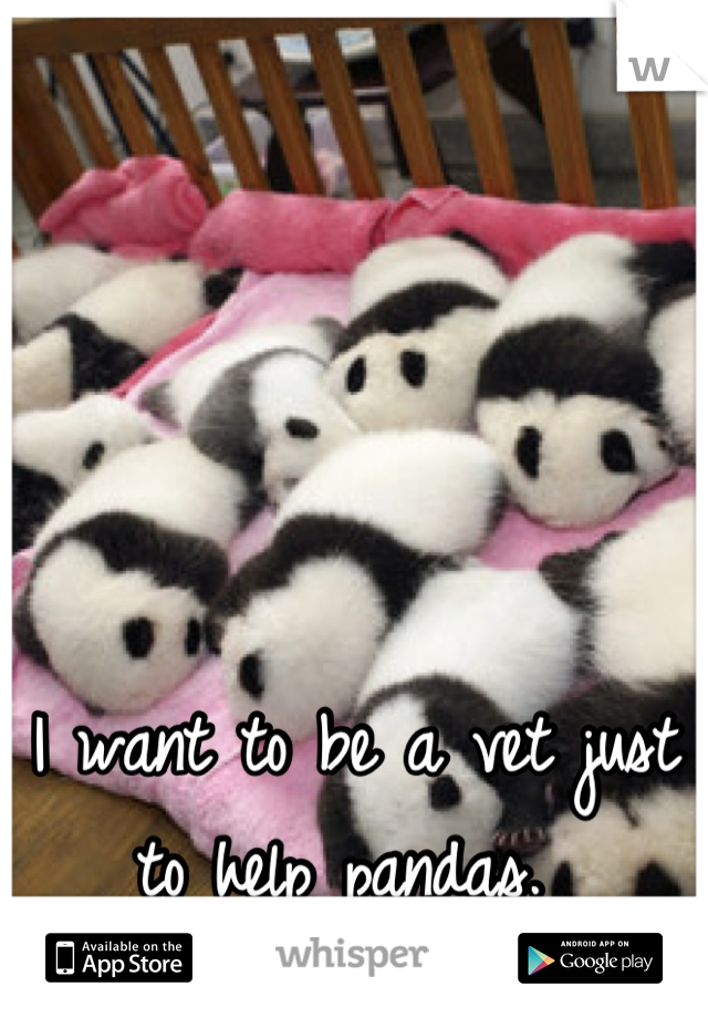 I want to be a vet just to help pandas. 