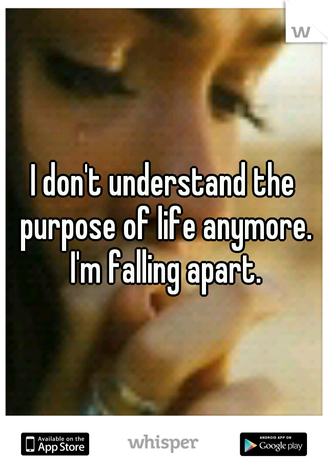 I don't understand the purpose of life anymore. I'm falling apart.