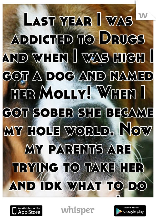 Last year I was addicted to Drugs and when I was high I got a dog and named her Molly! When I got sober she became my hole world. Now my parents are trying to take her and idk what to do to keep her!