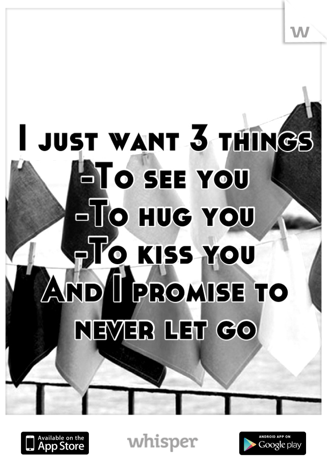 I just want 3 things
-To see you
-To hug you
-To kiss you 
And I promise to never let go
