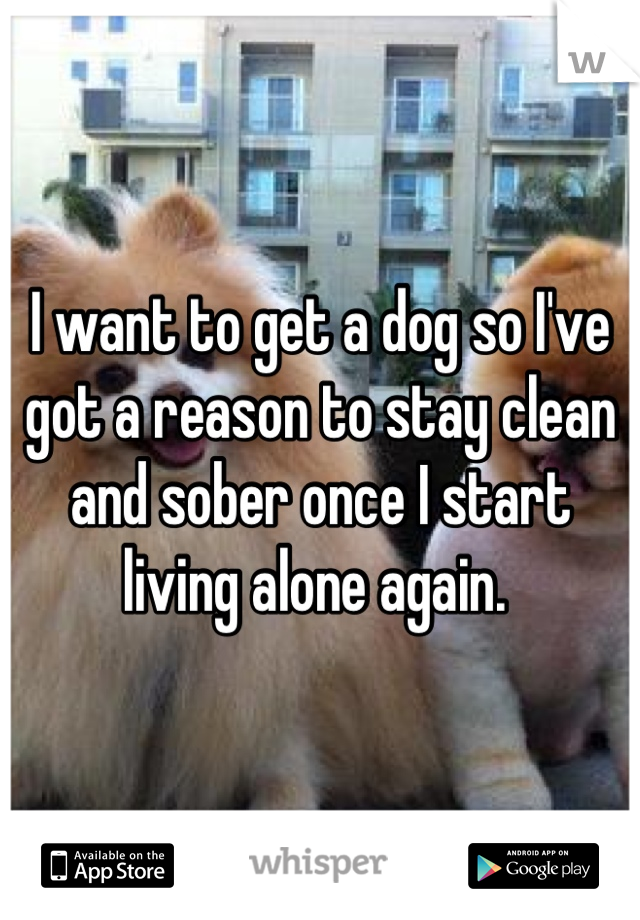 I want to get a dog so I've got a reason to stay clean and sober once I start living alone again. 