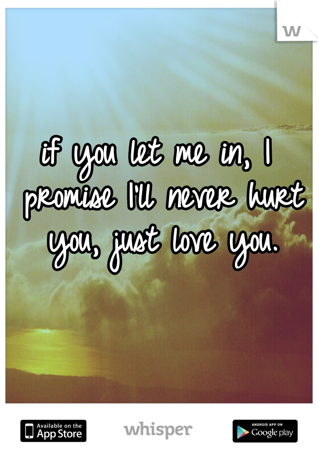 if you let me in, I promise I'll never hurt you, just love you.