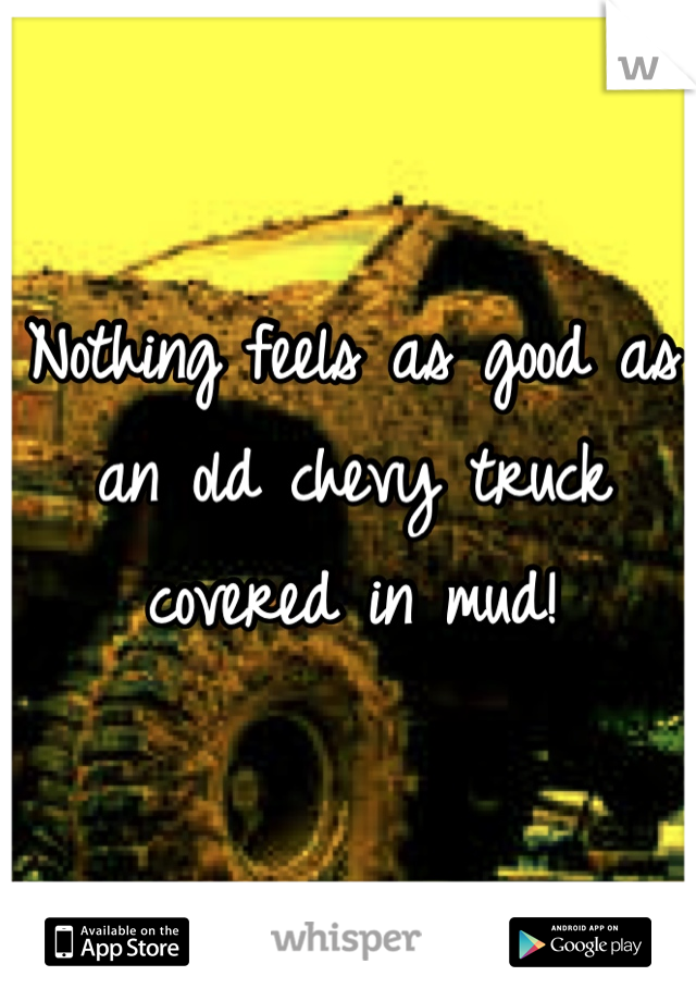Nothing feels as good as an old chevy truck covered in mud!