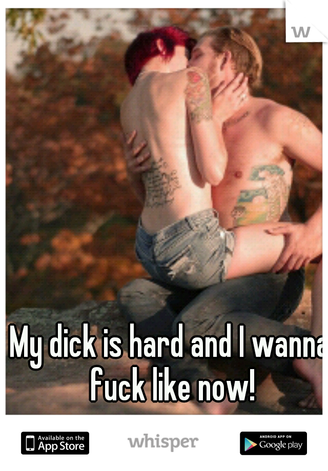 My dick is hard and I wanna fuck like now!