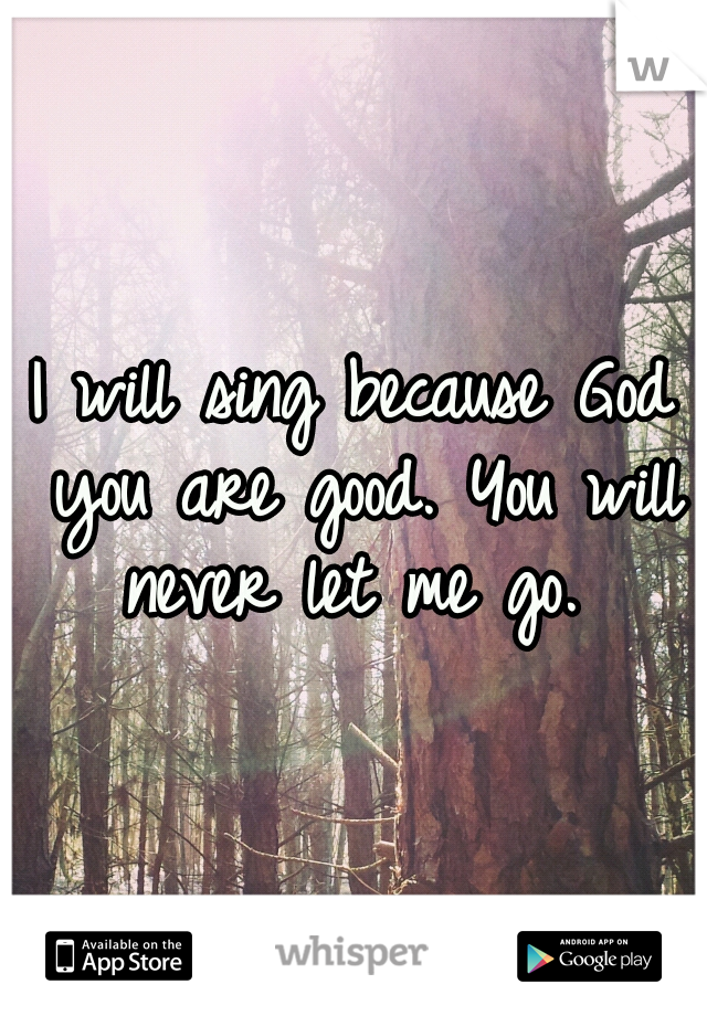 I will sing because God you are good. You will never let me go. 