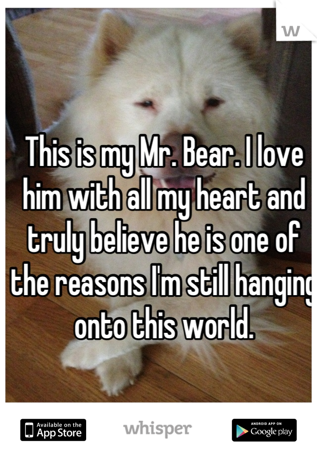 This is my Mr. Bear. I love him with all my heart and truly believe he is one of the reasons I'm still hanging onto this world.