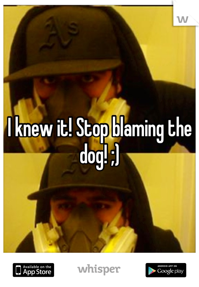 I knew it! Stop blaming the dog! ;)