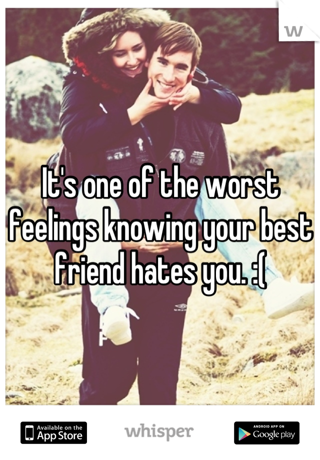 It's one of the worst feelings knowing your best friend hates you. :(