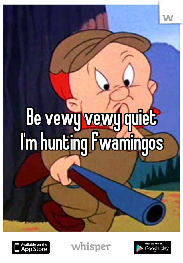 Be vewy vewy quiet
I'm hunting fwamingos