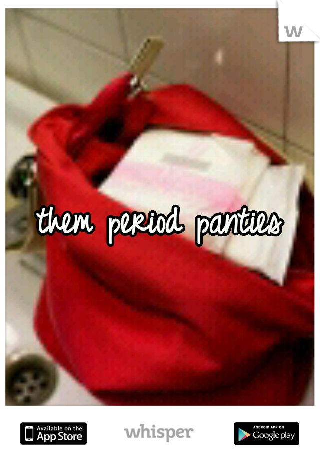 them period panties