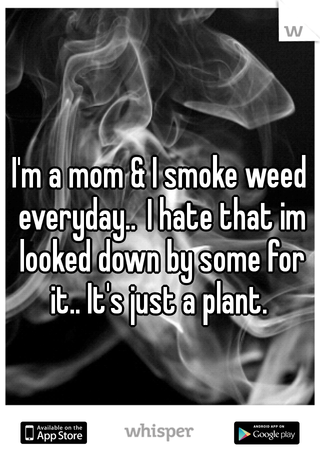 I'm a mom & I smoke weed everyday..
I hate that im looked down by some for it.. It's just a plant. 