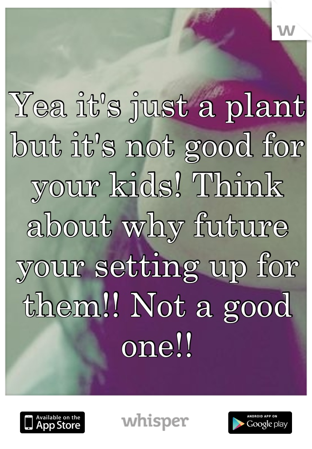 Yea it's just a plant but it's not good for your kids! Think about why future your setting up for them!! Not a good one!!