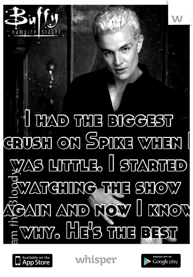 I had the biggest crush on Spike when I was little. I started watching the show again and now I know why. He's the best bad boy out there. 