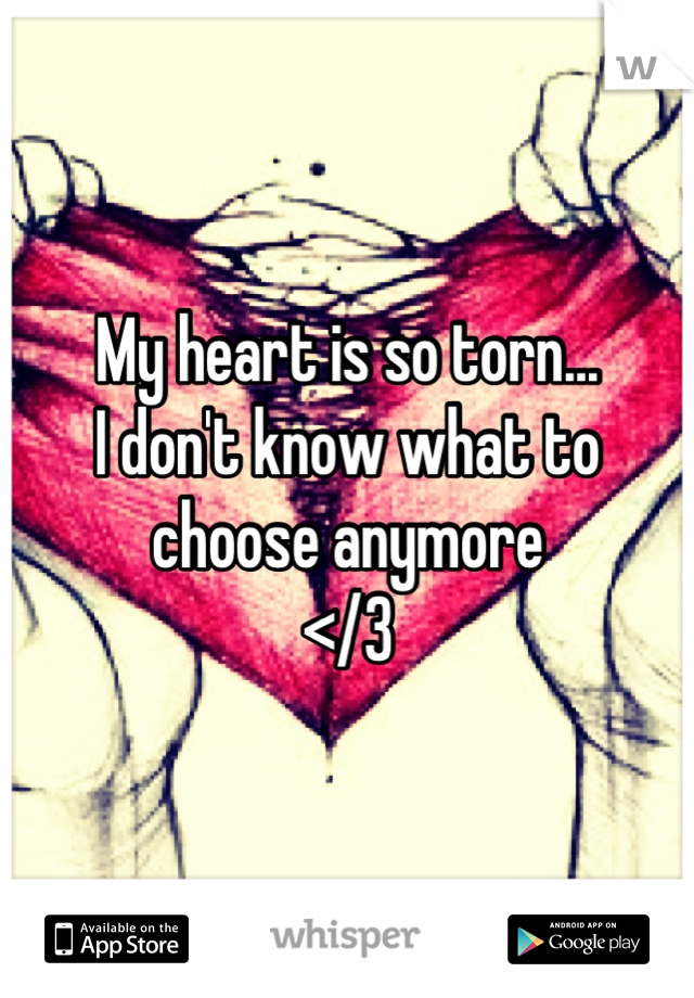 My heart is so torn...
I don't know what to choose anymore
</3