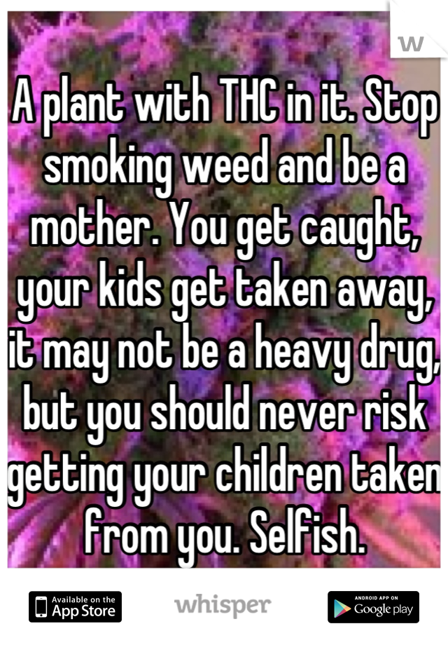 A plant with THC in it. Stop smoking weed and be a mother. You get caught, your kids get taken away, it may not be a heavy drug, but you should never risk getting your children taken from you. Selfish.