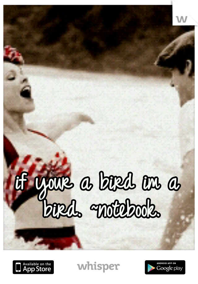 if your a bird im a bird.
~notebook.