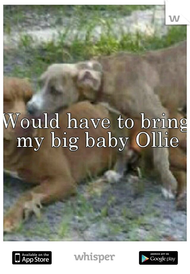 Would have to bring my big baby Ollie