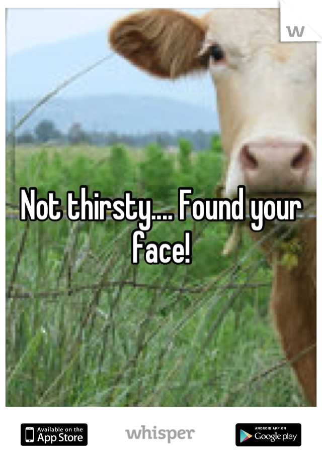 Not thirsty.... Found your face!