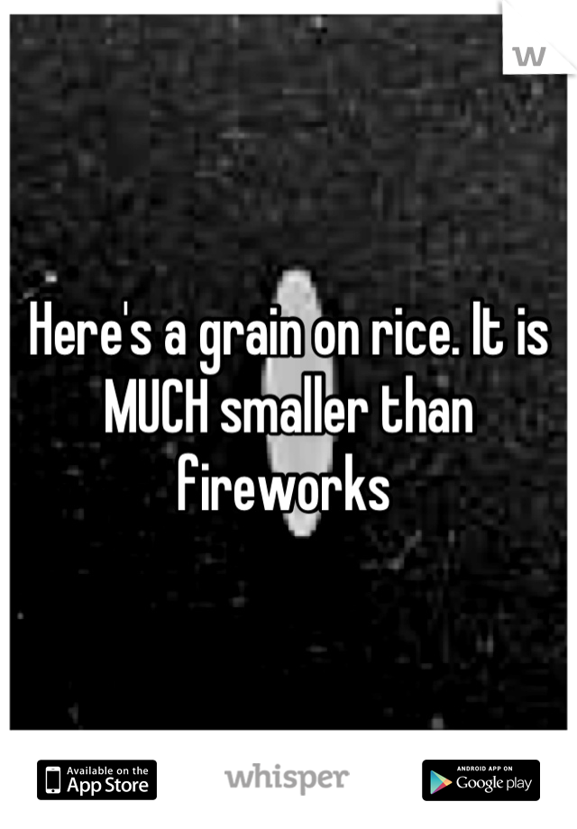 Here's a grain on rice. It is MUCH smaller than fireworks 