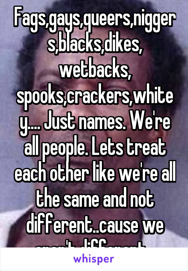 Fags,gays,queers,niggers,blacks,dikes, wetbacks, spooks,crackers,whitey.... Just names. We're all people. Lets treat each other like we're all the same and not different..cause we aren't different...