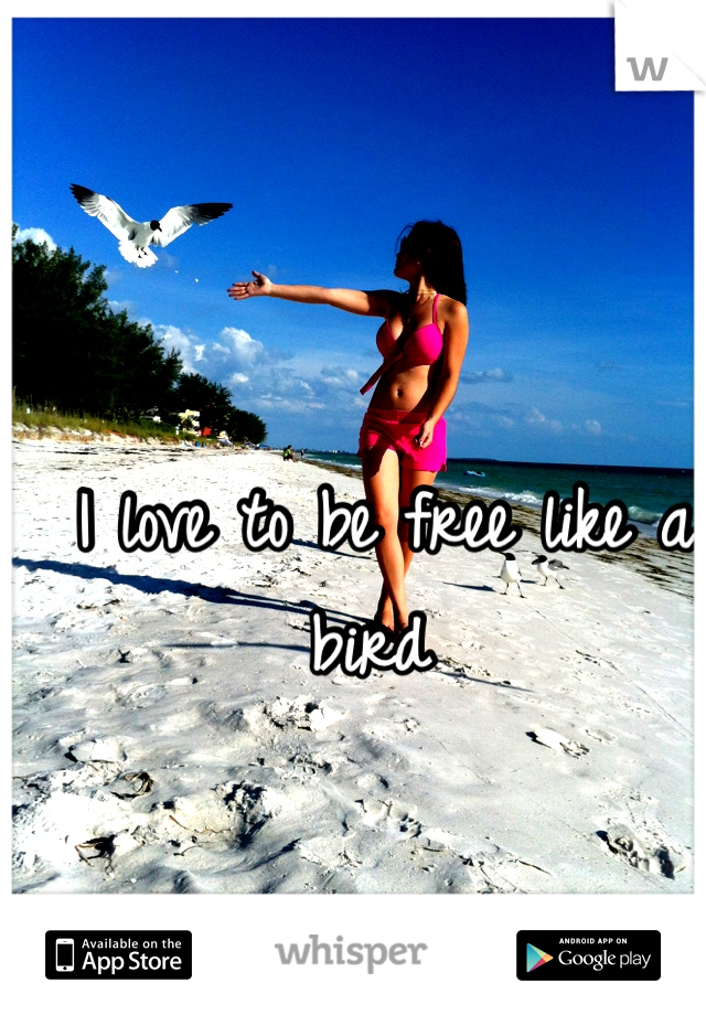 I love to be free like a bird 