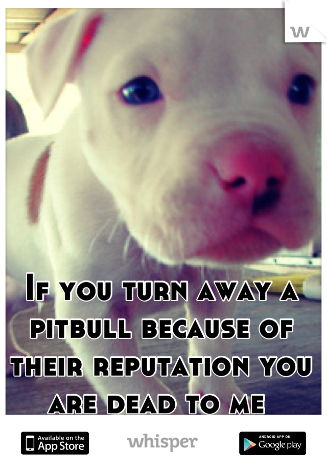 If you turn away a pitbull because of their reputation you are dead to me 