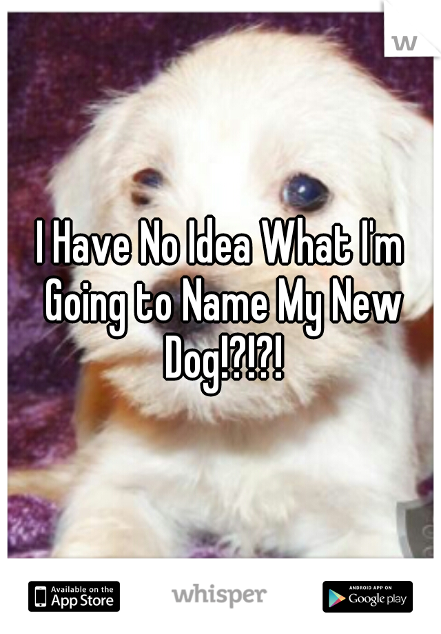 I Have No Idea What I'm Going to Name My New Dog!?!?!