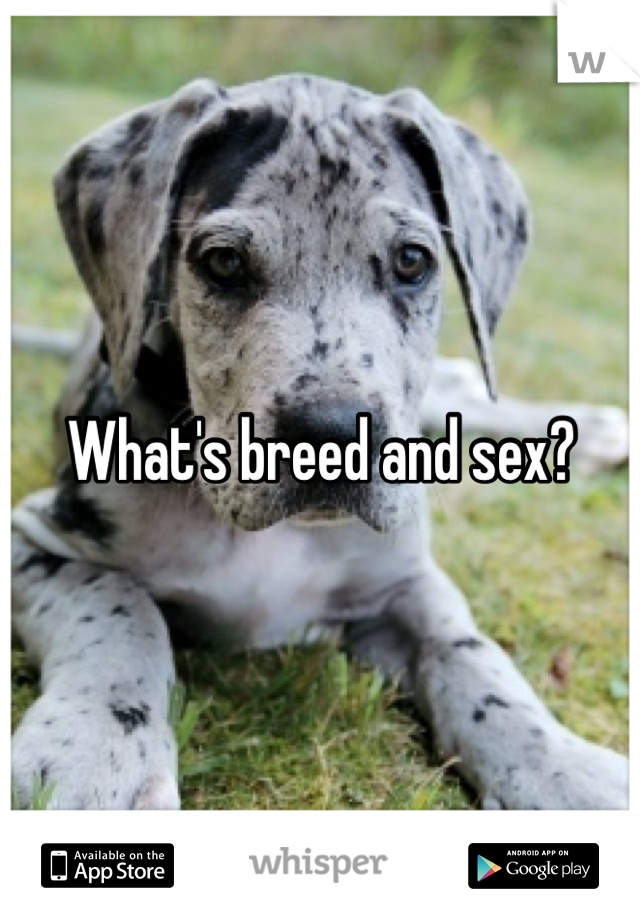 What's breed and sex?