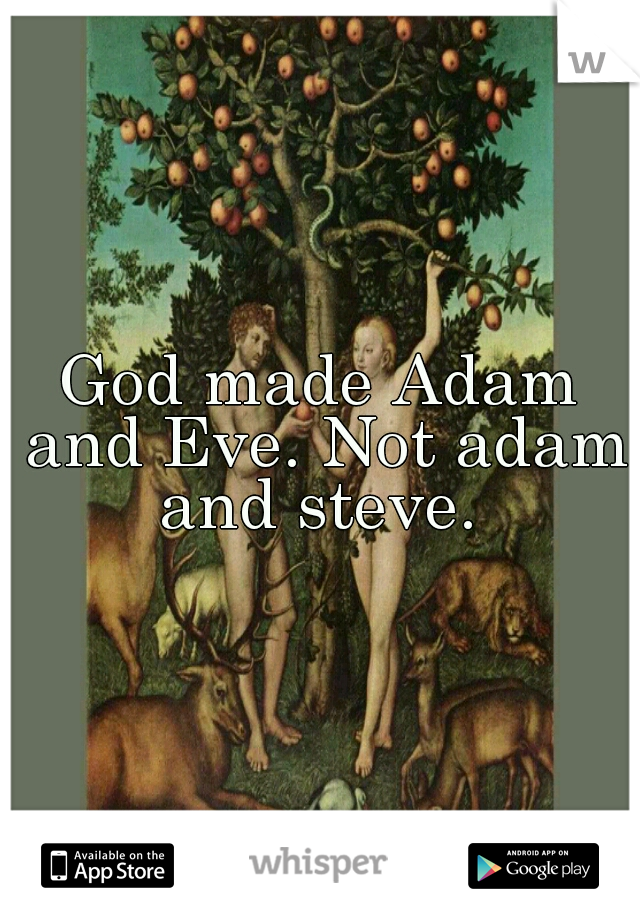 God made Adam and Eve. Not adam and steve. 