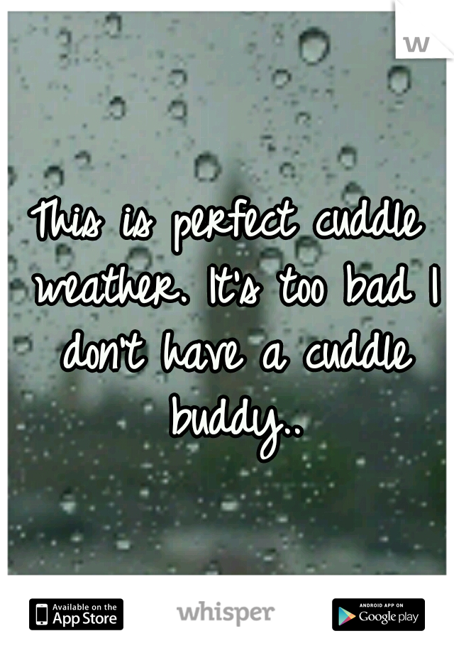 This is perfect cuddle weather. It's too bad I don't have a cuddle buddy..