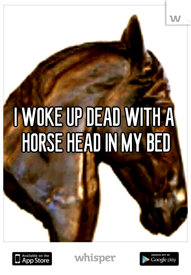 I WOKE UP DEAD WITH A HORSE HEAD IN MY BED