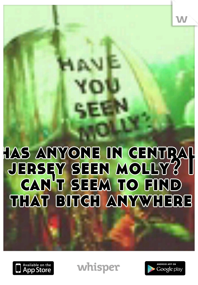 has anyone in central jersey seen molly? I can't seem to find that bitch anywhere