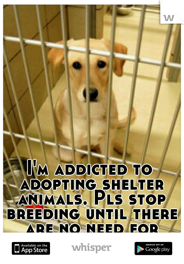 I'm addicted to adopting shelter animals. Pls stop breeding until there are no need for shelters.