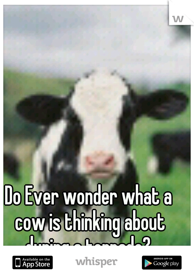 Do Ever wonder what a cow is thinking about during a tornado? 