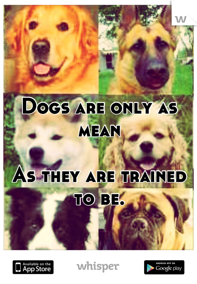 Dogs are only as mean 

As they are trained to be.