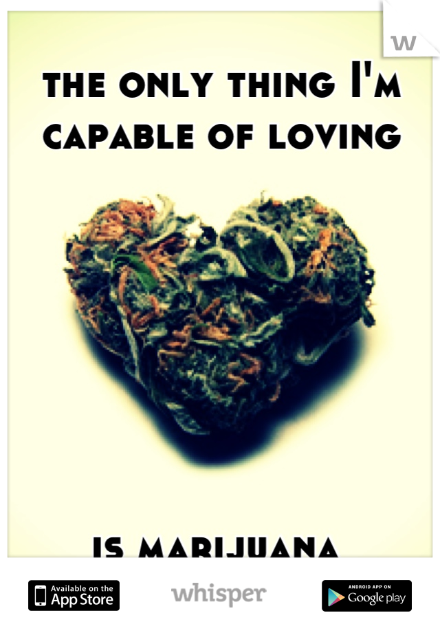 the only thing I'm capable of loving 







is marijuana 