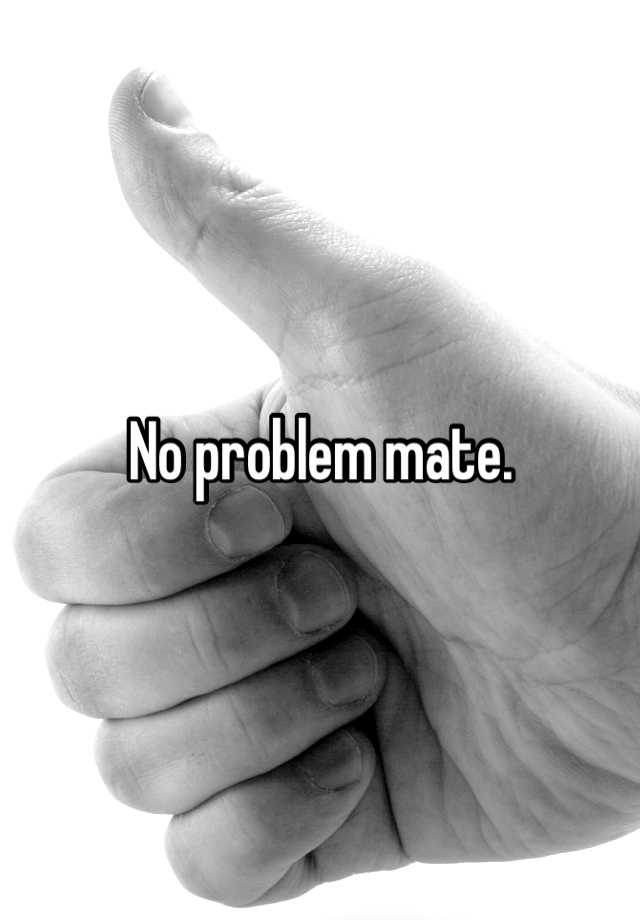 no-problem-mate