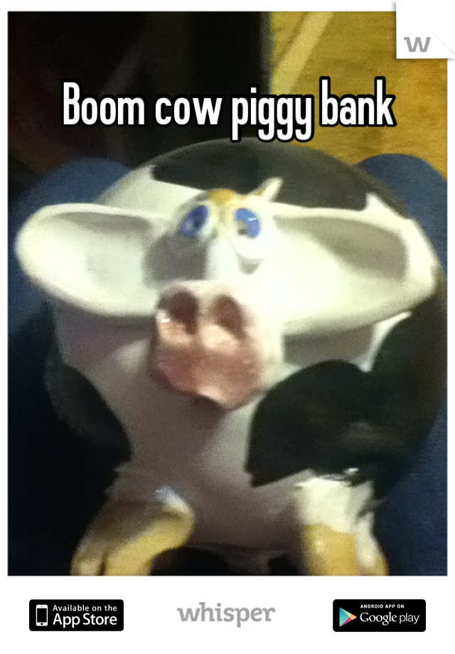 Boom cow piggy bank

